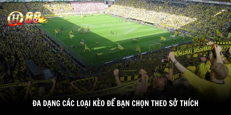 Đa dạng các loại kèo để bạn chọn theo sở thích
