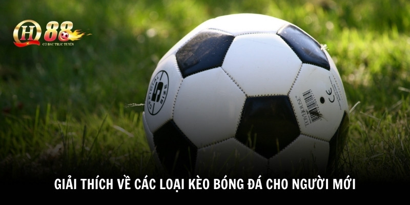 Giải thích về các loại kèo bóng đá cho người mới