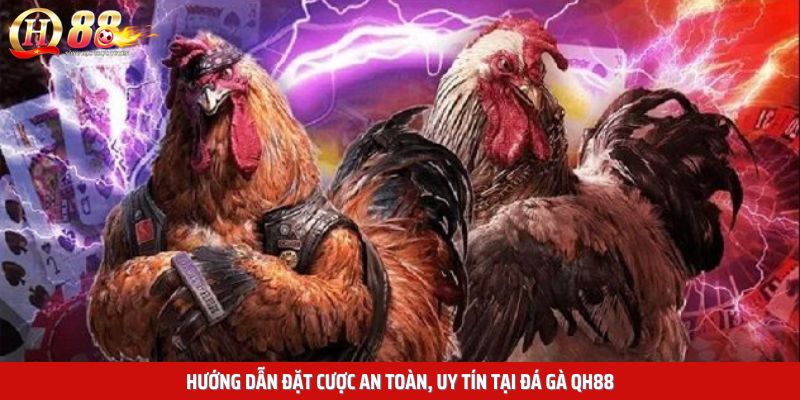 Hướng dẫn đặt cược an toàn, uy tín tại đá gà QH88