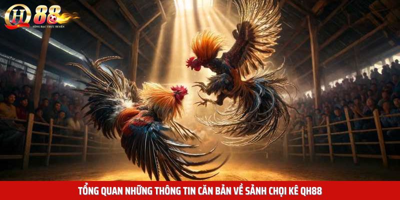 Tổng quan những thông tin căn bản về sảnh chọi kê QH88