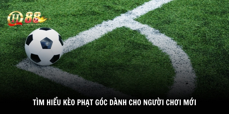 Tìm hiểu kèo phạt góc dành cho người chơi mới