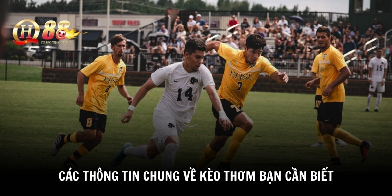 Các thông tin chung về kèo thơm bạn cần biết