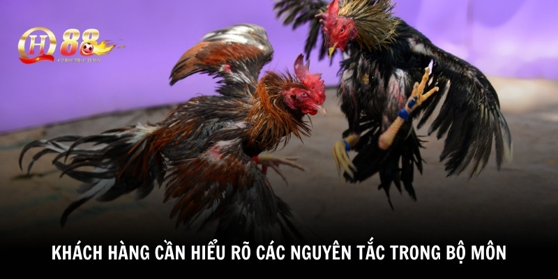 Khách hàng cần hiểu rõ các nguyên tắc trong bộ môn
