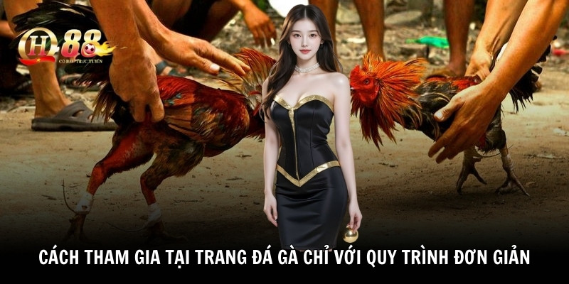 Cách tham gia tại trang đá gà chỉ với quy trình đơn giản