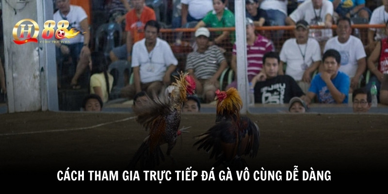 Cách tham gia trực tiếp đá gà vô cùng dễ dàng